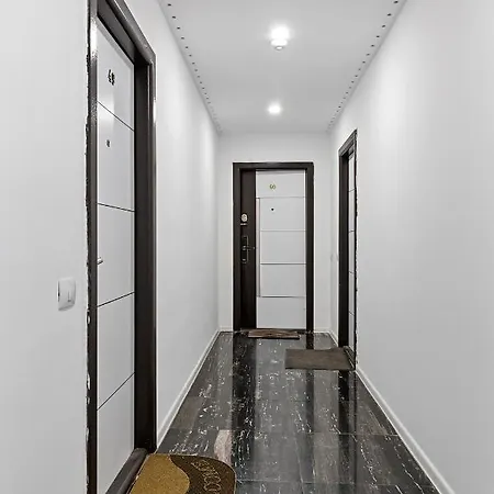 Novum Dream Studio-2